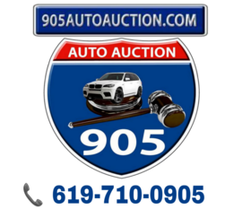 905 Auction Logosu
